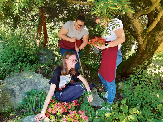 Urejanje gredic pred srednjo šolo Arboretum Opeka